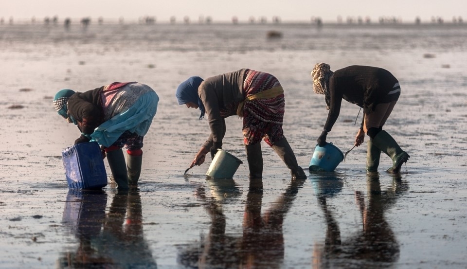 International policy tools based on human rights help countries to create a sustainable blue economy, says FAO International policy tools based on human rights help countries to create a sustainable blue economy, says FAO
